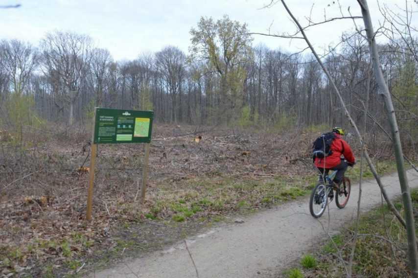 Coronavirus : les parcs, berges et forêts interdits jusqu’au 15 avril