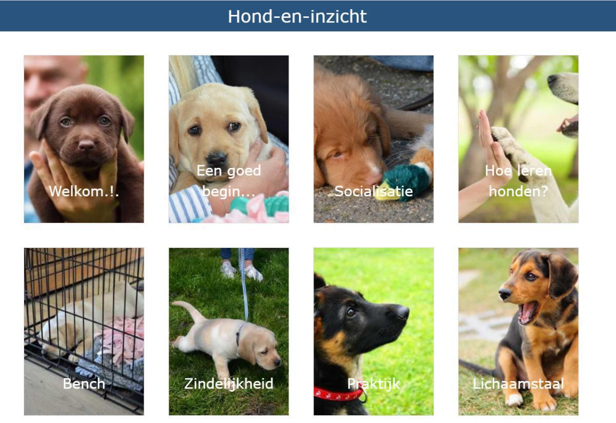 Puppycursus: Geef je Pup de Perfecte Start