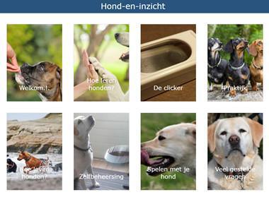 Hondencursus aan huis | Basis-privé Hondencursus aan huis | Basis-privé