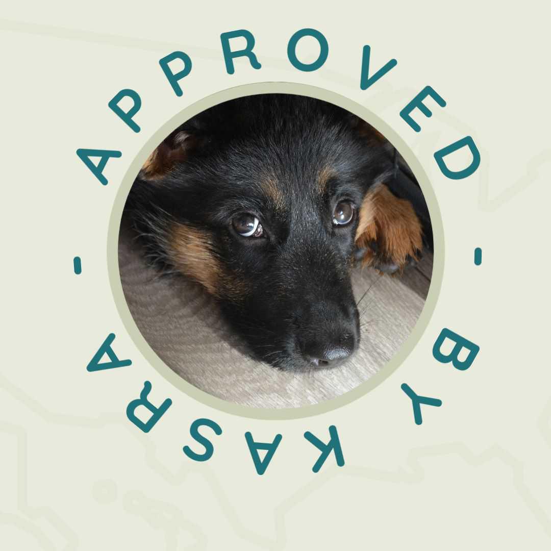 Voorbereiding Voorbereiding