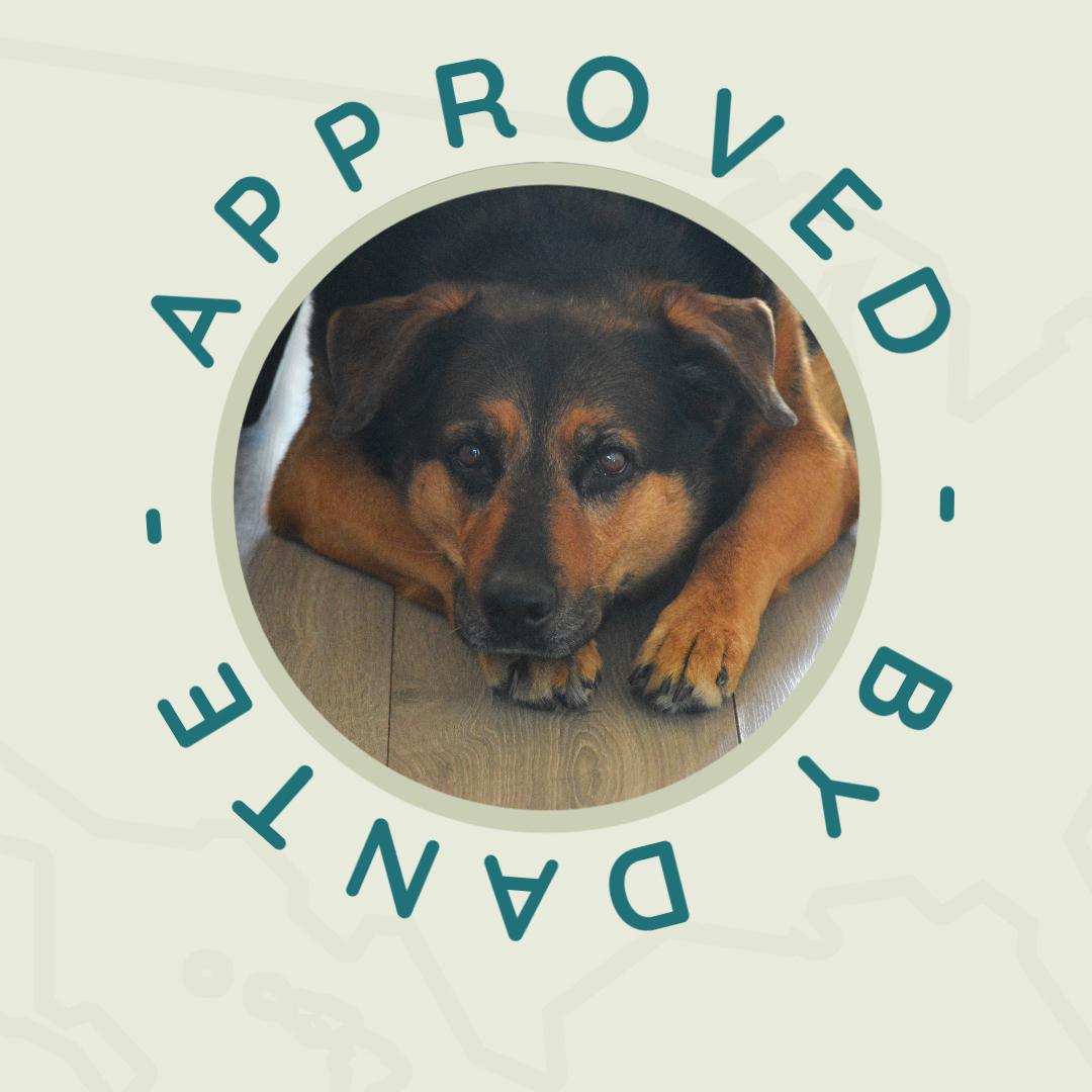 Voorbereiding Voorbereiding