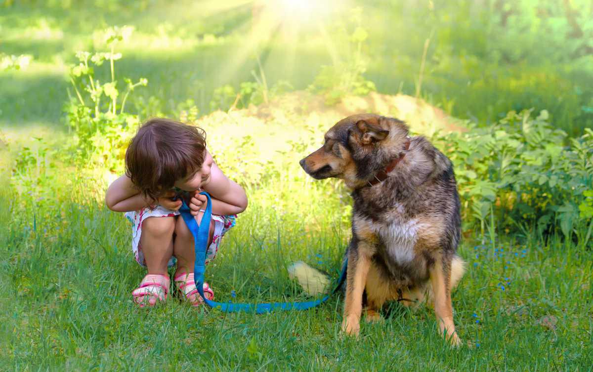 Kind en hond