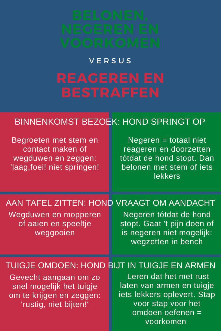 Duidelijkheid Duidelijkheid