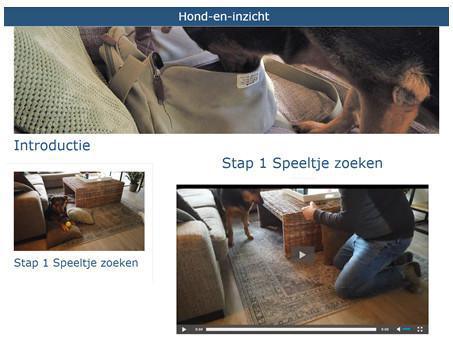 Detectie-online Detectie-online