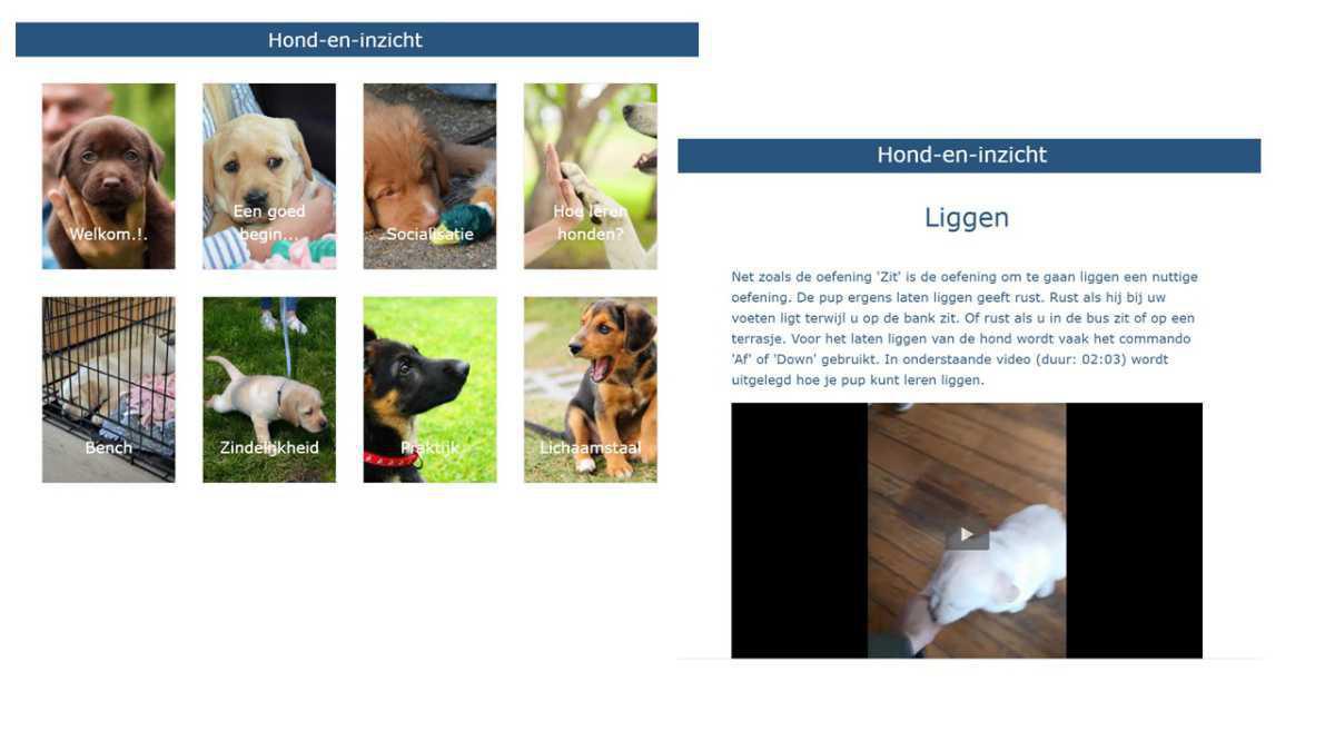 Puppycursus Online: Train Je Pup Thuis, Op Jouw Moment Puppycursus Online: Train Je Pup Thuis, Op Jouw Moment