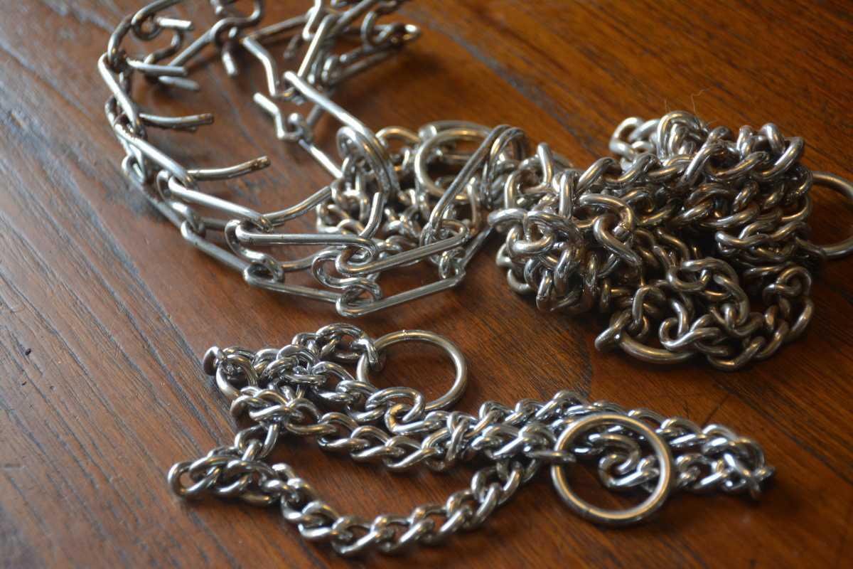 Hondentuigje of halsband? Onderzoek uit 2025 geeft inzicht