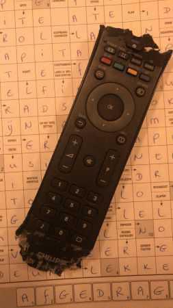 Puppy bijten afleren Puppy bijten afleren