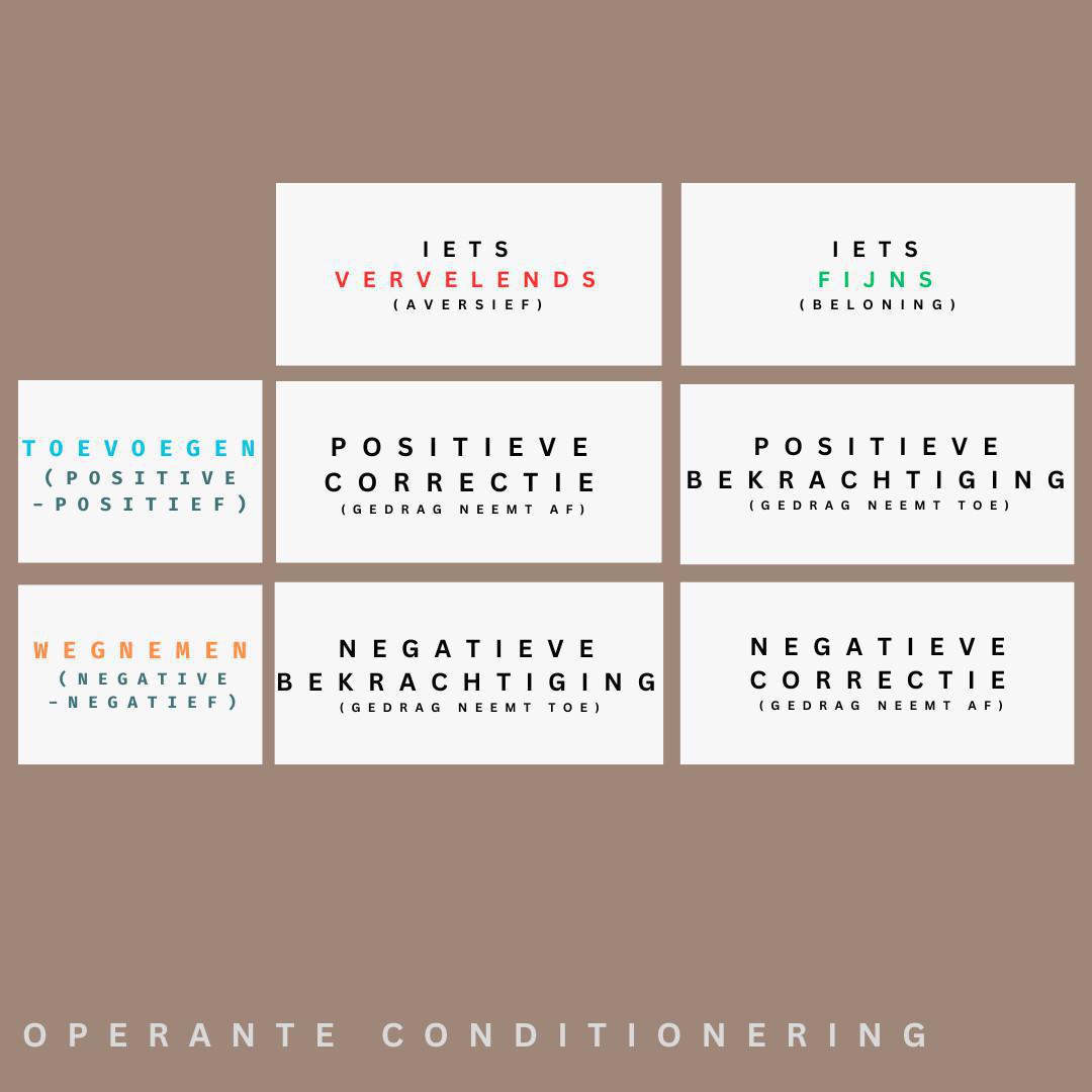 Wat is positief trainen van honden? Wat is positief trainen van honden?