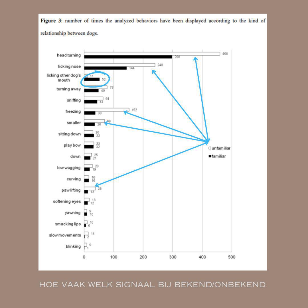 Wat is lichaamstaal bij honden? Wat is lichaamstaal bij honden?