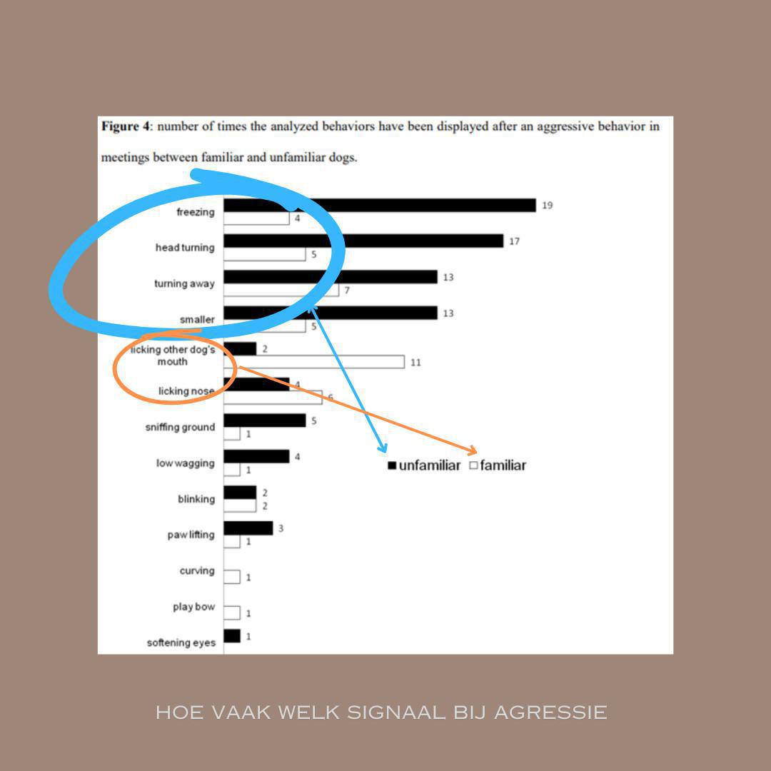 Wat is lichaamstaal bij honden? Wat is lichaamstaal bij honden?