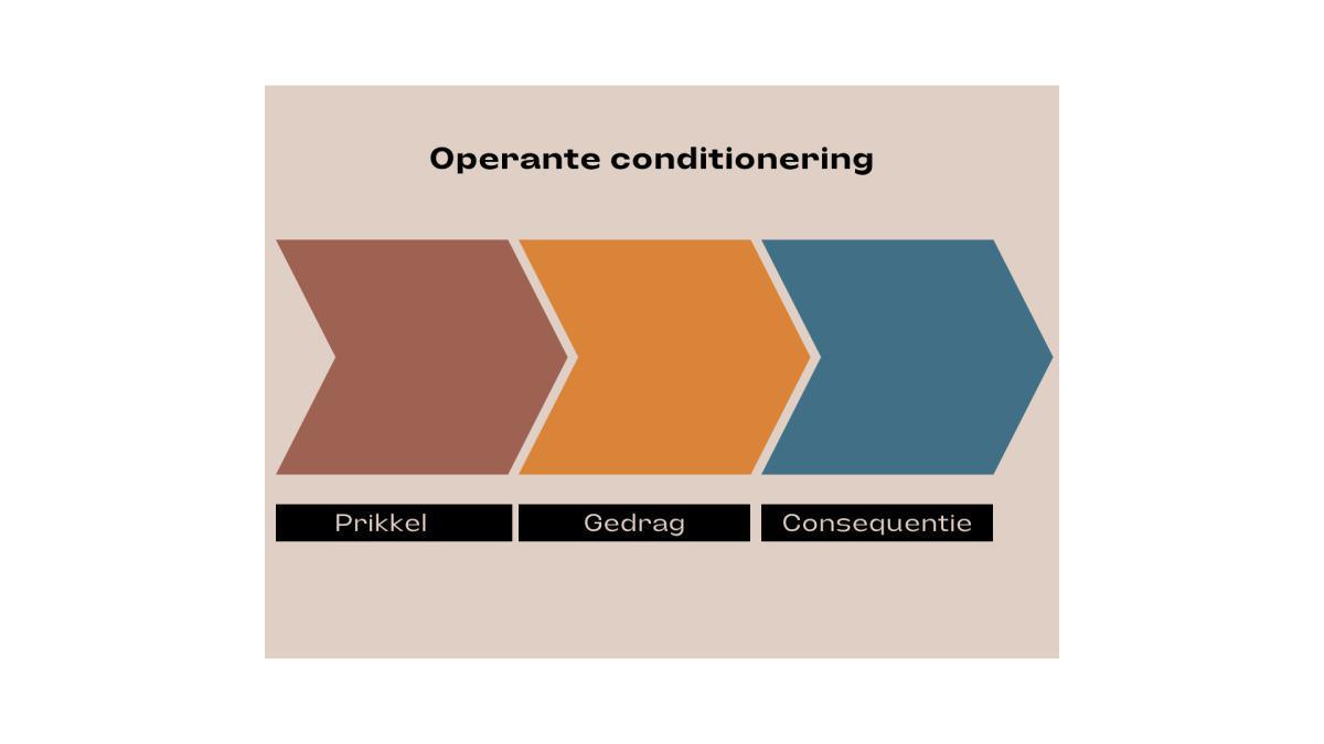 Wat is operante conditionering bij honden? Wat is operante conditionering bij honden?