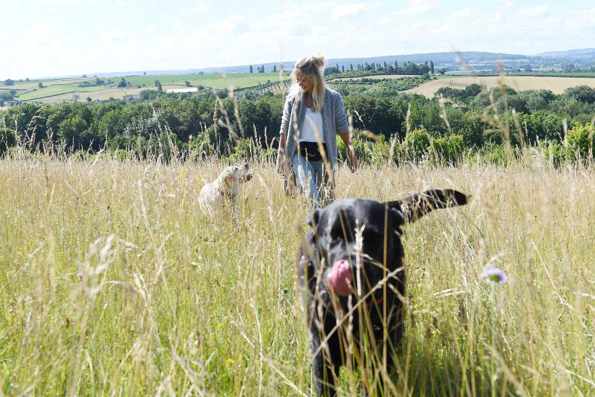 Hondengedragstherapie Landgraaf