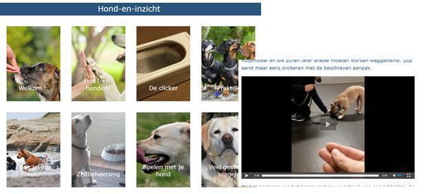 Hondencursus Sittard Hondencursus Sittard