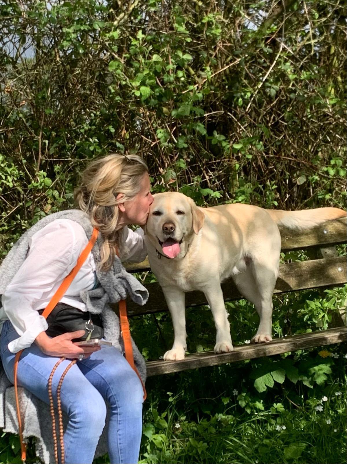 De hoofdrolspelers De hoofdrolspelers