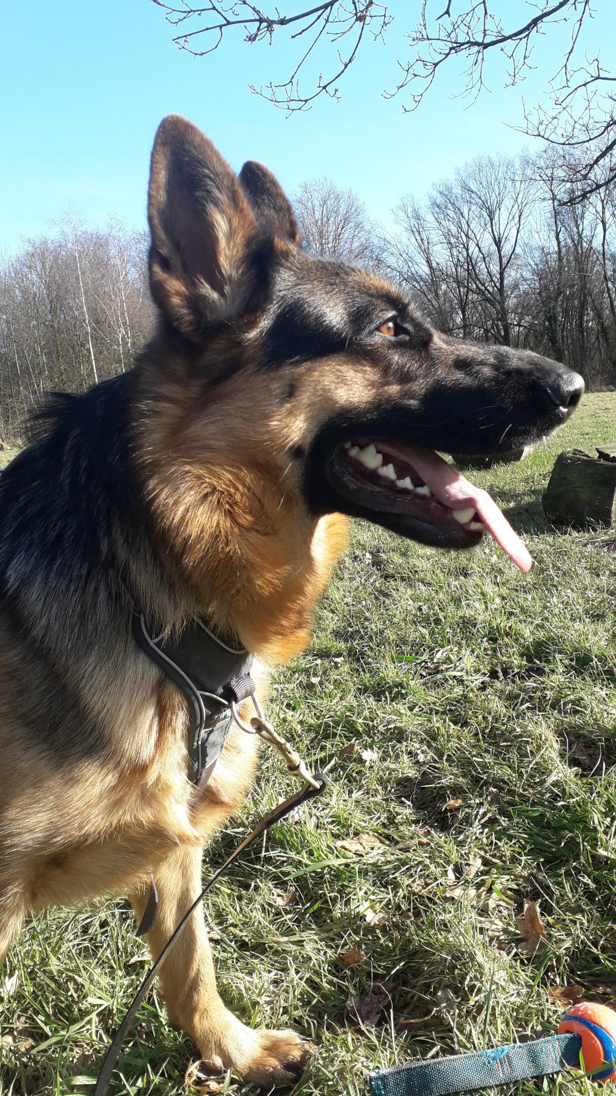 De hoofdrolspelers De hoofdrolspelers