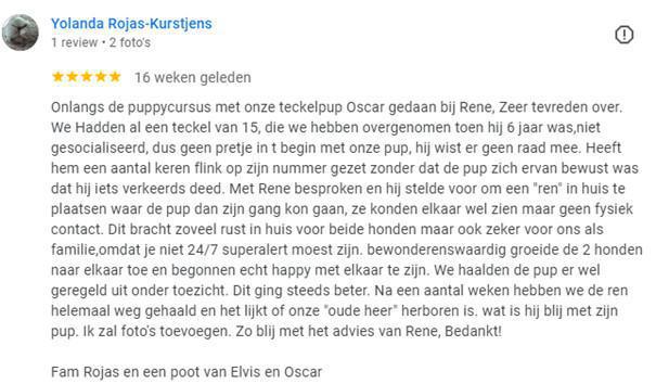Mijn oudere hond laat de pup niet met rust Mijn oudere hond laat de pup niet met rust
