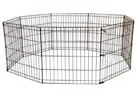 Mijn oudere hond laat de pup niet met rust Mijn oudere hond laat de pup niet met rust