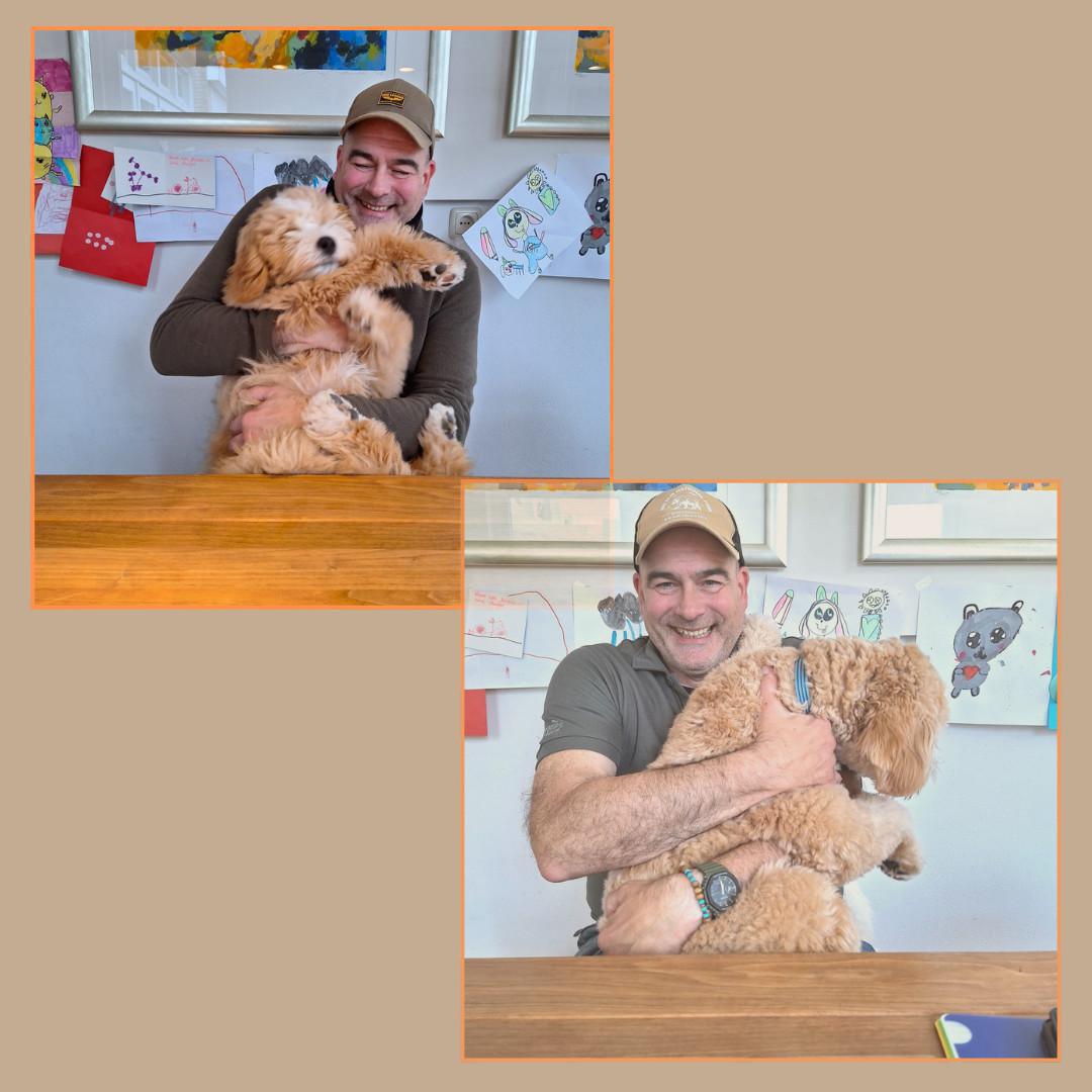 Wat moet ik doen als mijn puppy bijt? Wat moet ik doen als mijn puppy bijt?