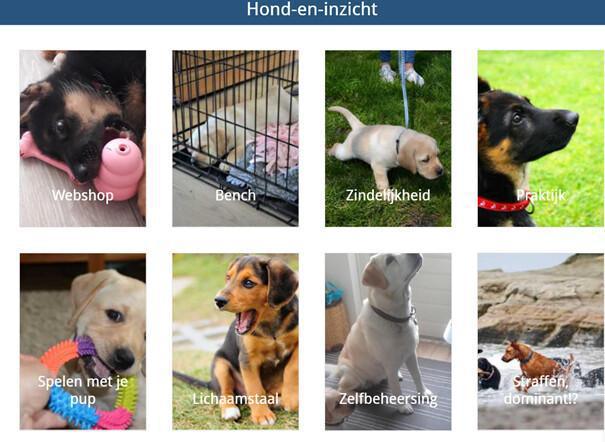 Puppycursus Maastricht: Start Elke Week