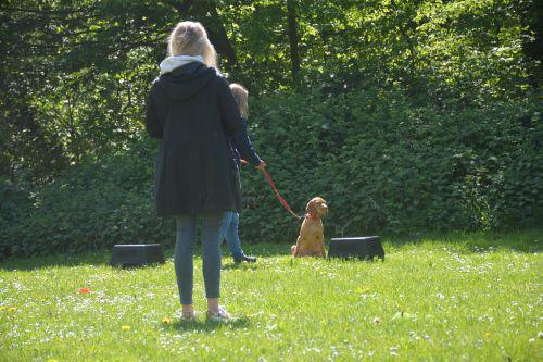 Daniëlle in actie