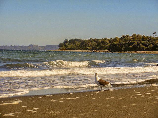 9 Islas por Visitar en Chiloé 9 Islas por Visitar en Chiloé