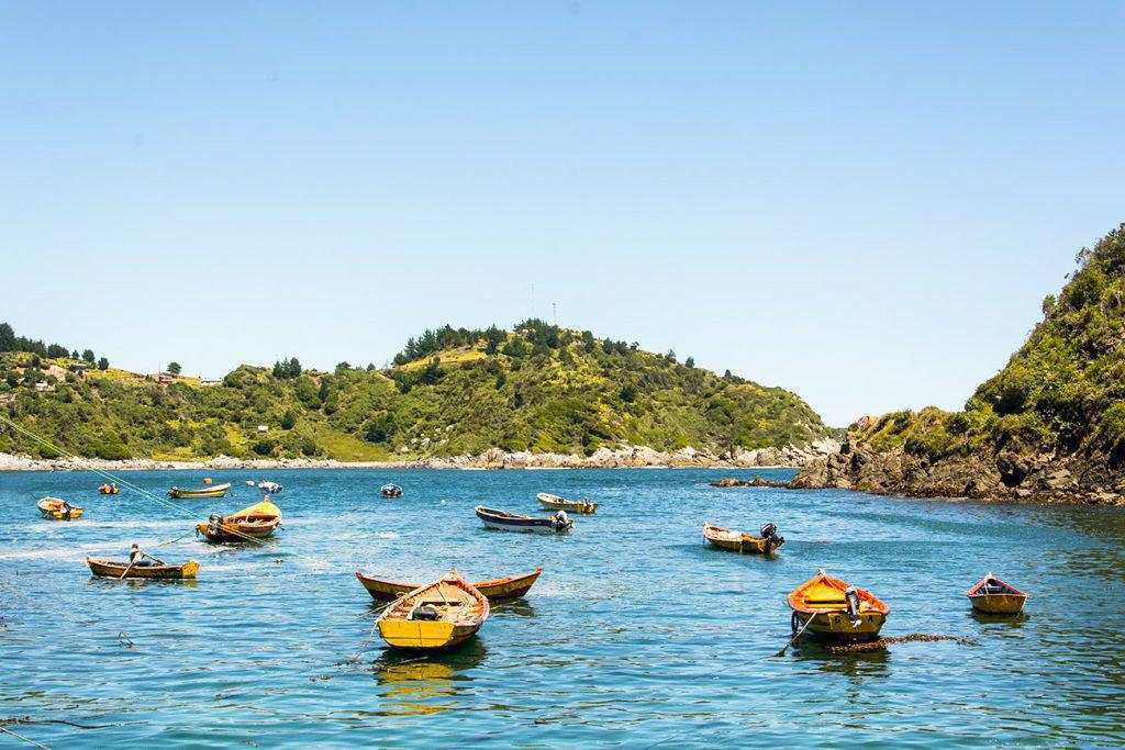 Caleta Cóndor Caleta Cóndor