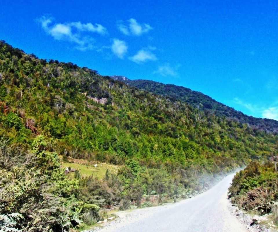 Estado de Los Caminos Estado de Los Caminos