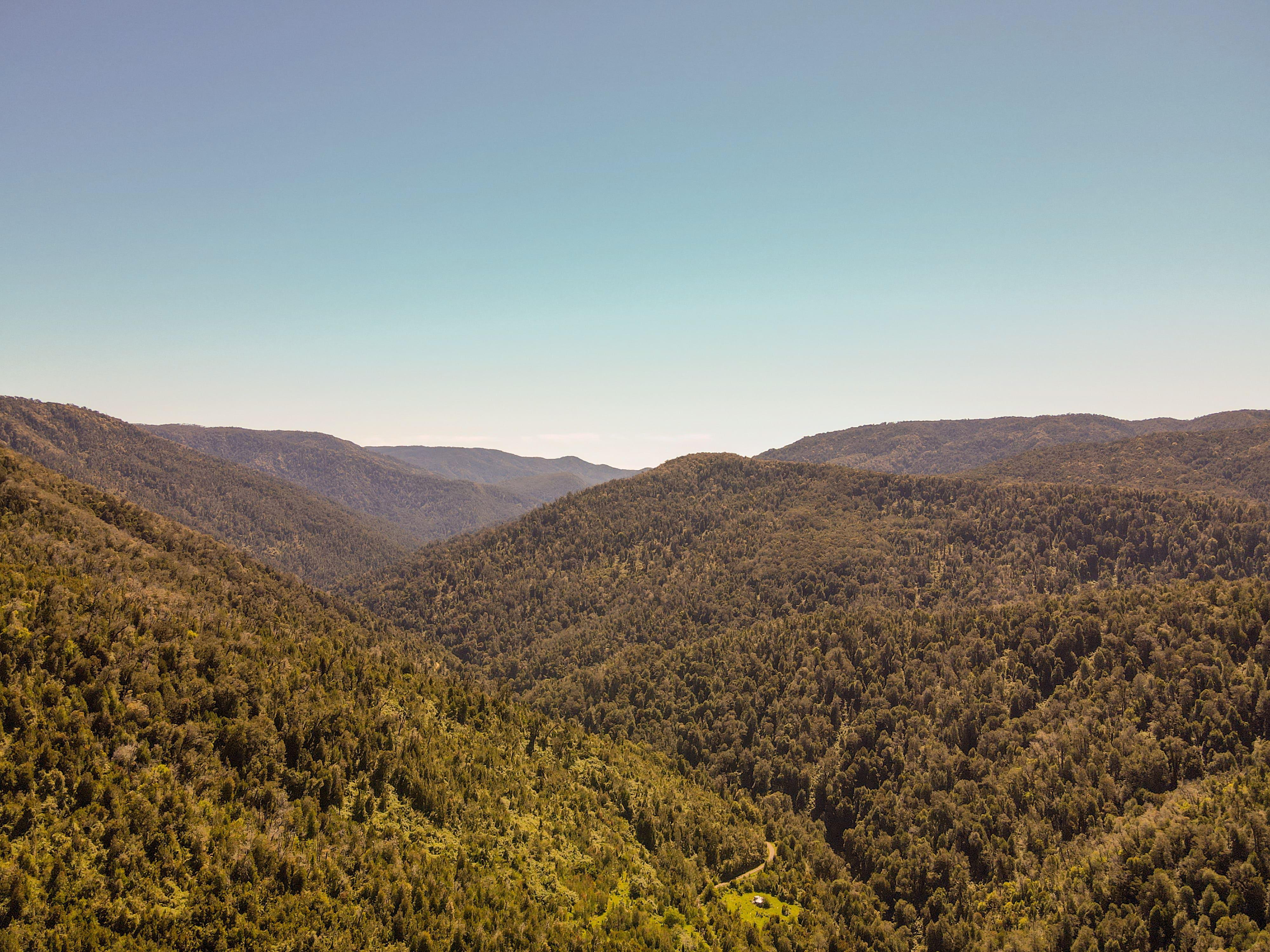 Cordillera de La Costa