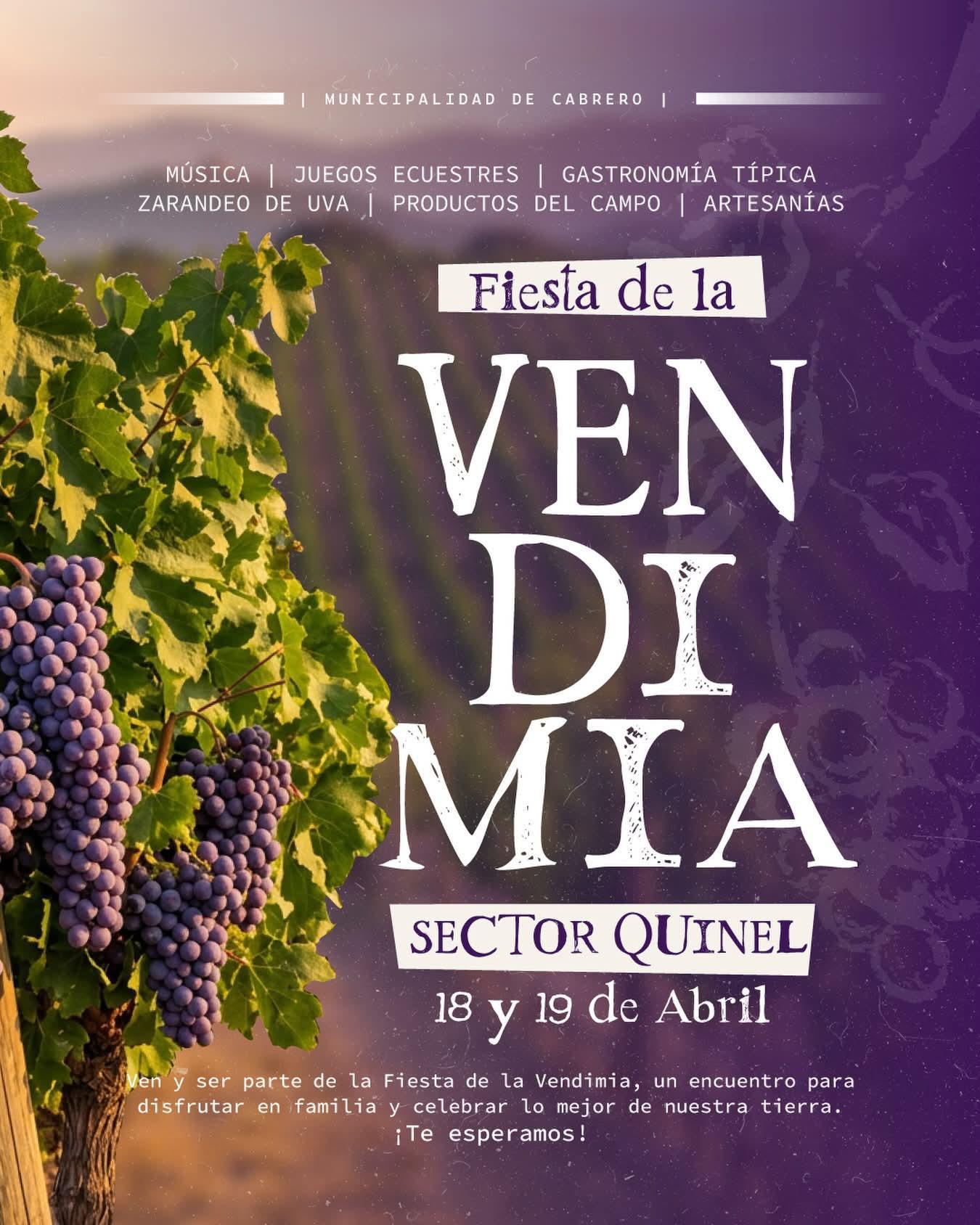 fiesta-de-la-vendimia-en-cabrero-2026.jpg