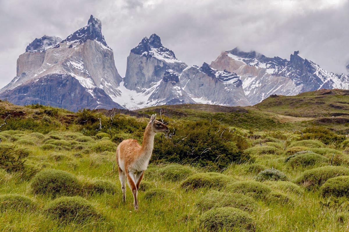 Torres del Paine