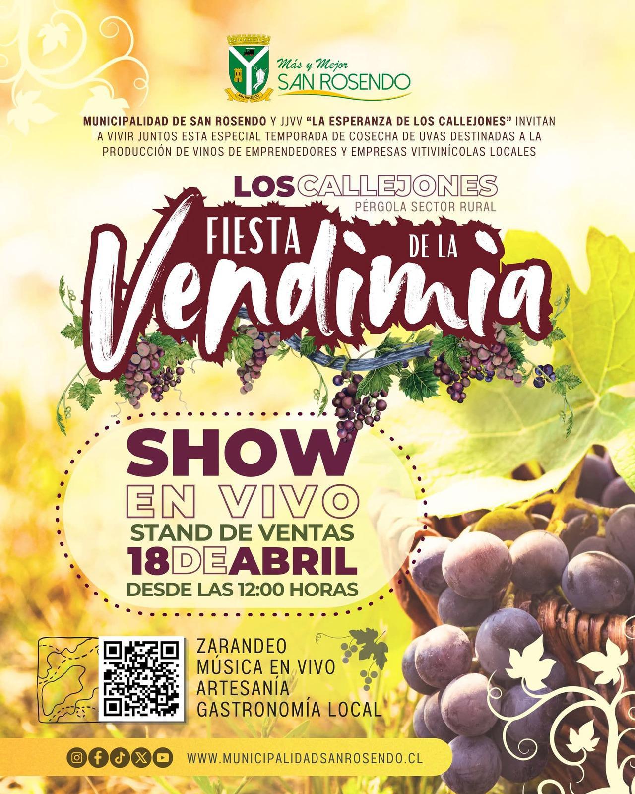 fiesta-de-la-vendimia-san-rosendo-2026.jpg