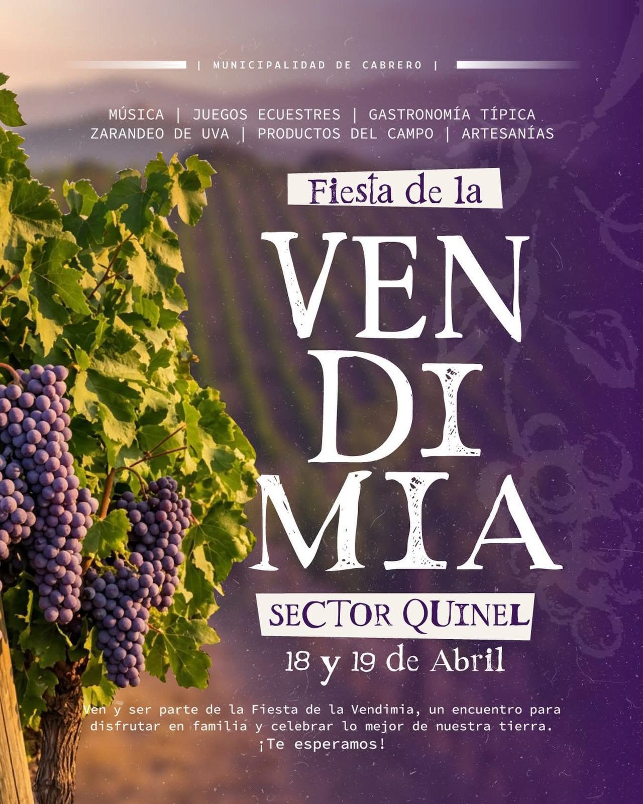 fiesta-de-la-vendimia-en-cabrero-2026.jpg