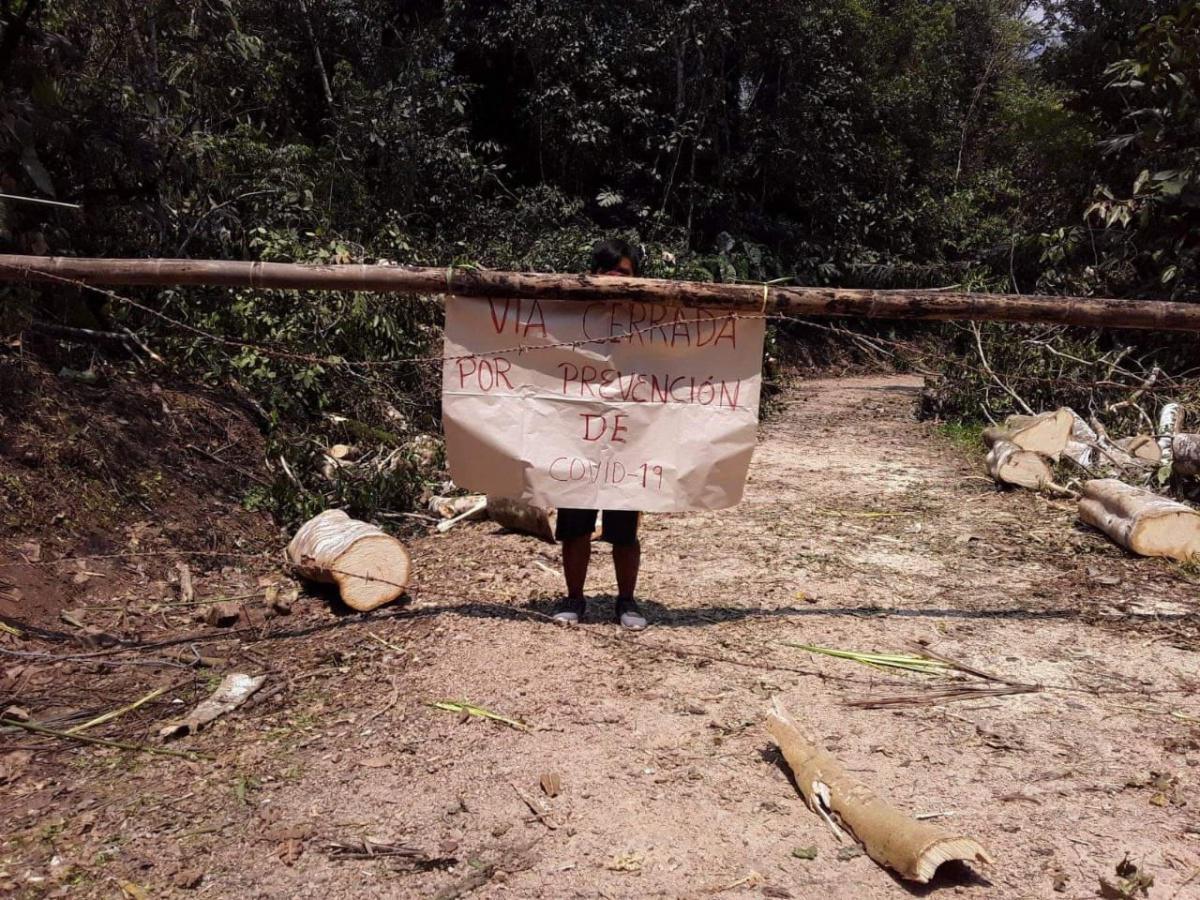 Acção urgente e global em defesa da Amazónia