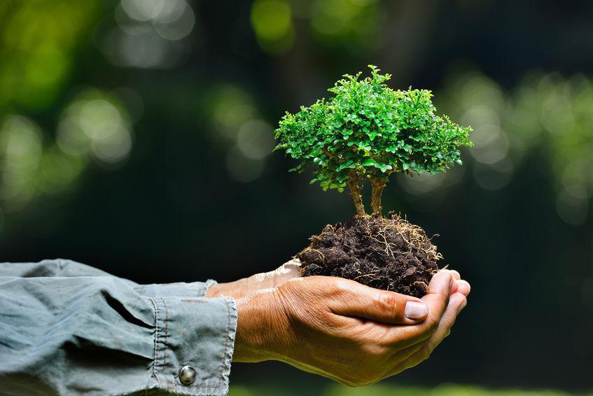 Jubileu pela Terra: Novos Ritmos, Nova Esperança