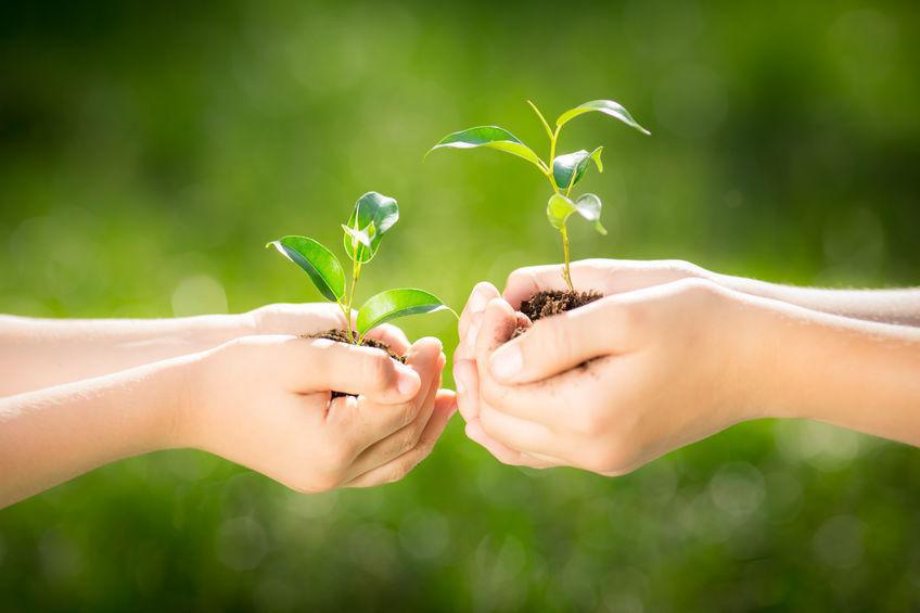 Respeitar os recursos do planeta Respeitar os recursos do planeta