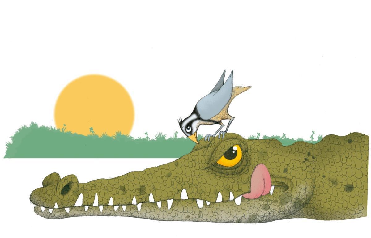 Escancarar-se a rir!