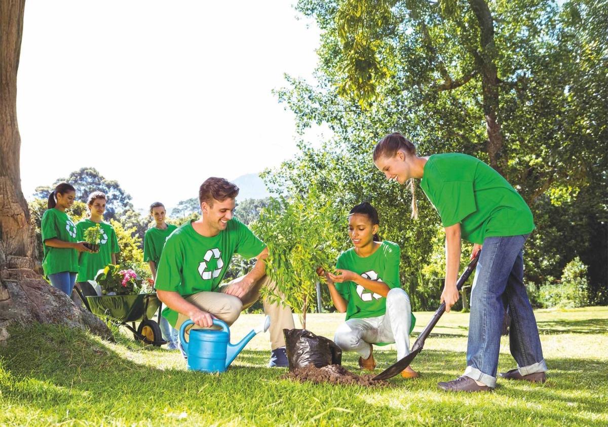 COP30, Mutirão global - Belém do Pará