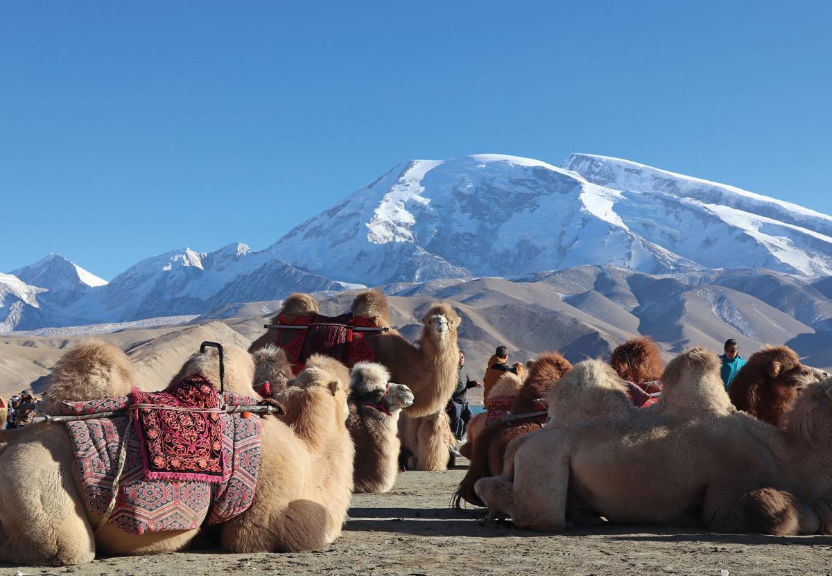 Sob (apertada) vigilância