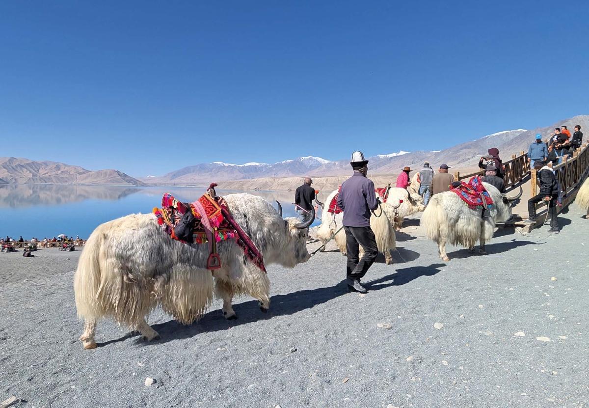 Sob (apertada) vigilância