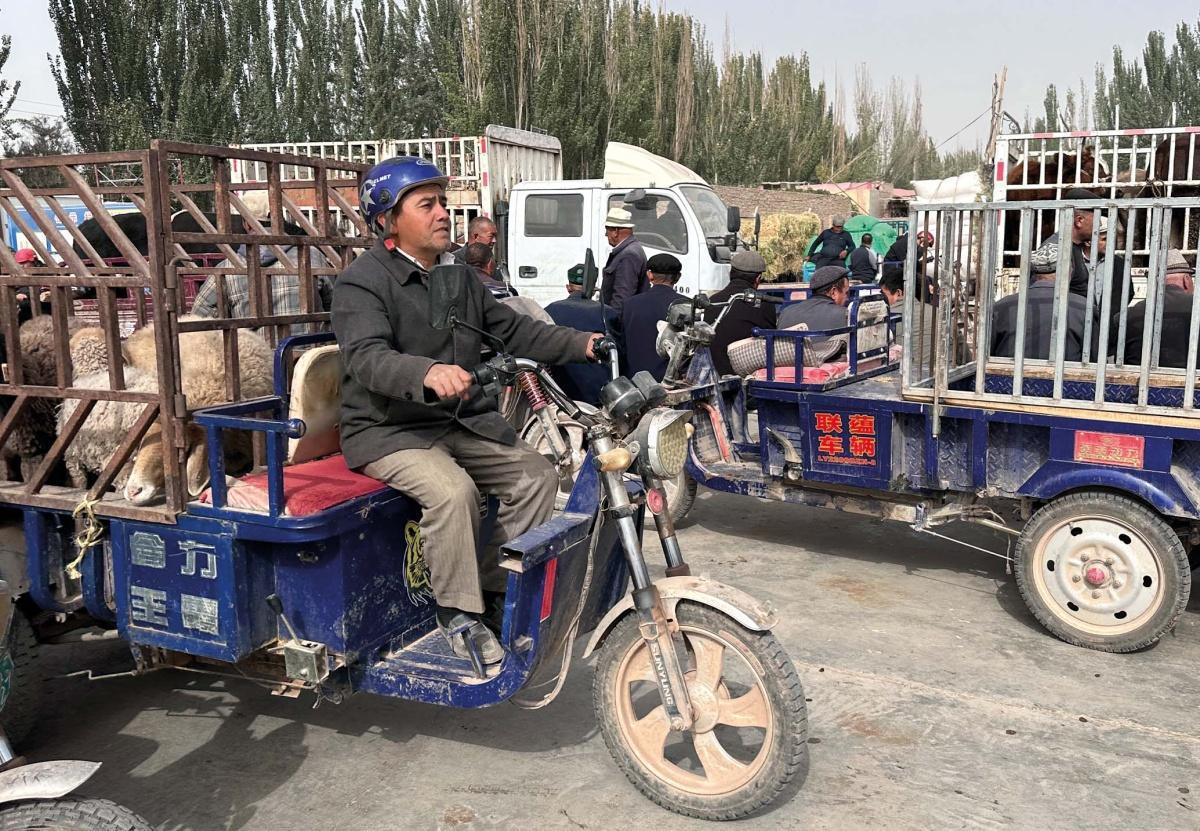 Sob (apertada) vigilância