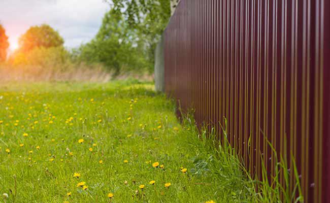 Boundary Fencing Assistance