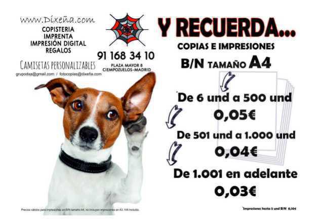 Copistería Dixeña
