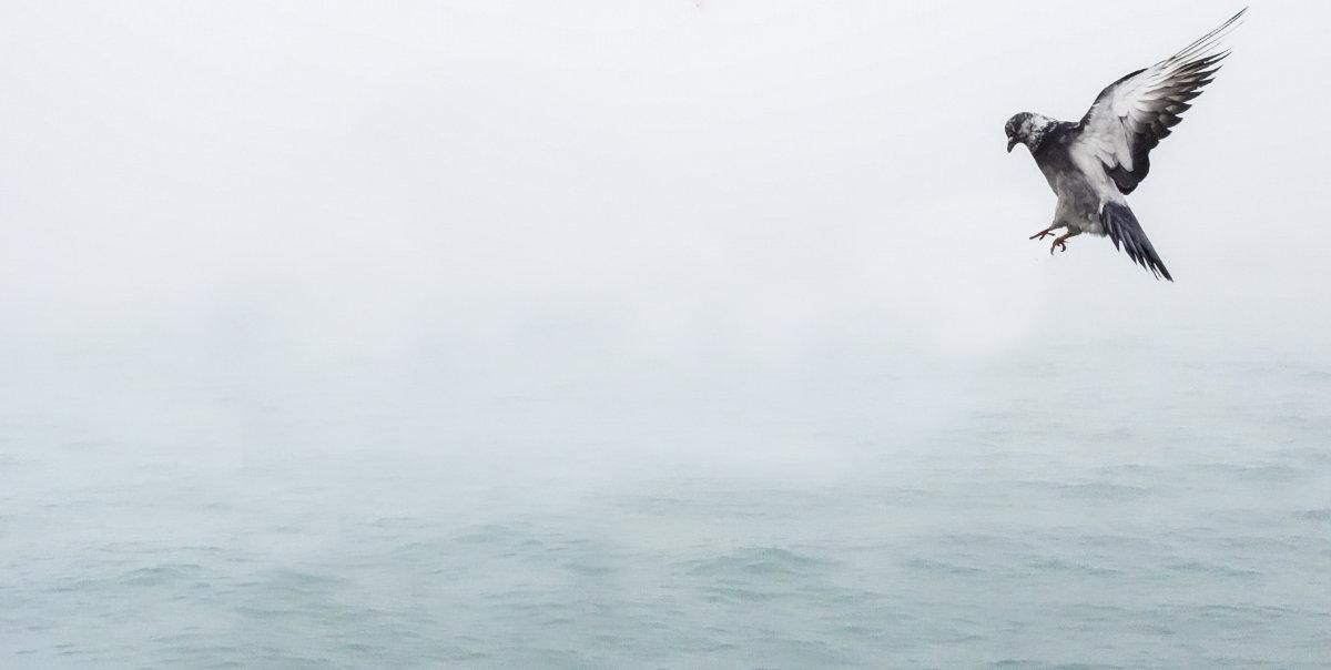 The Holy Spirit’s Work In The Life of Believers (September 15, 2021) The Holy Spirit’s Work In The Life of Believers (September 15, 2021)