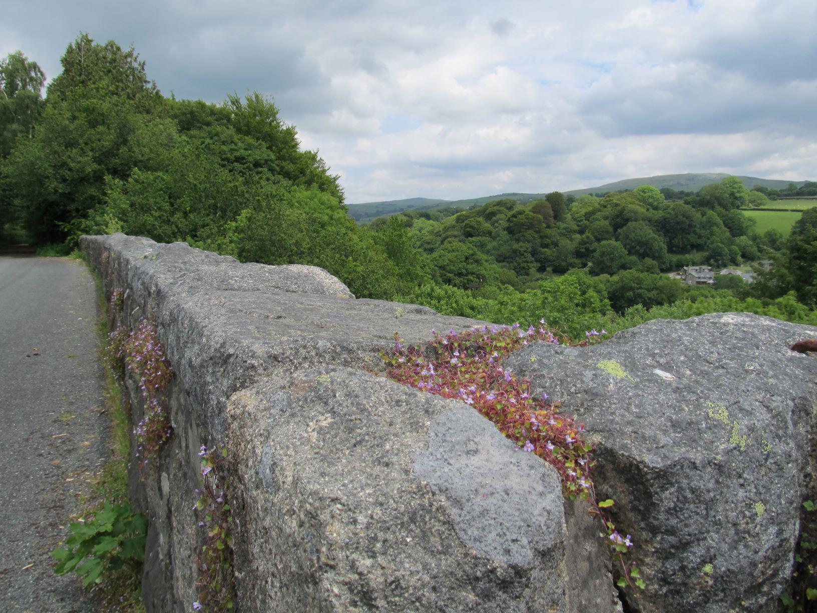 West Devon Cycle Route 27