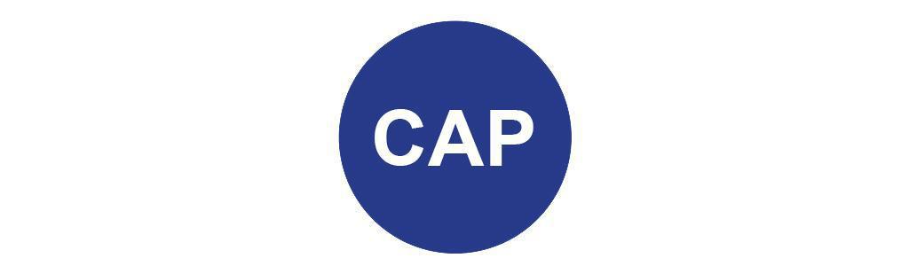 CAP - Filiale Transport IdF