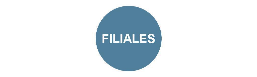 FILIALES (Bourges - Consulting - Coopération - Dev - Habitat - Maintenance Services - Real Estate - Smart System - Solutions Ville - Travel Retail)