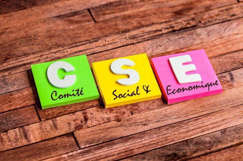 Les expertises à disposition des CSE