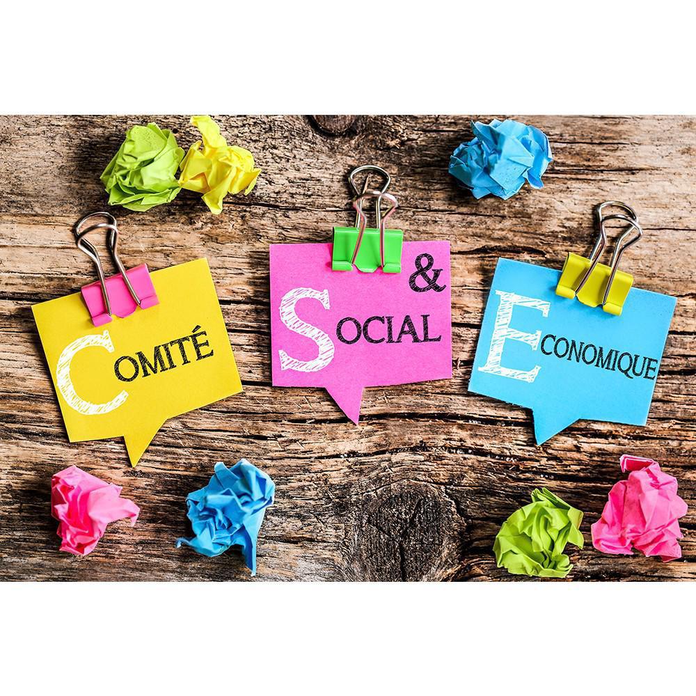 Séance du CSE central 05 novembre 2025 Séance du CSE central 05 novembre 2025