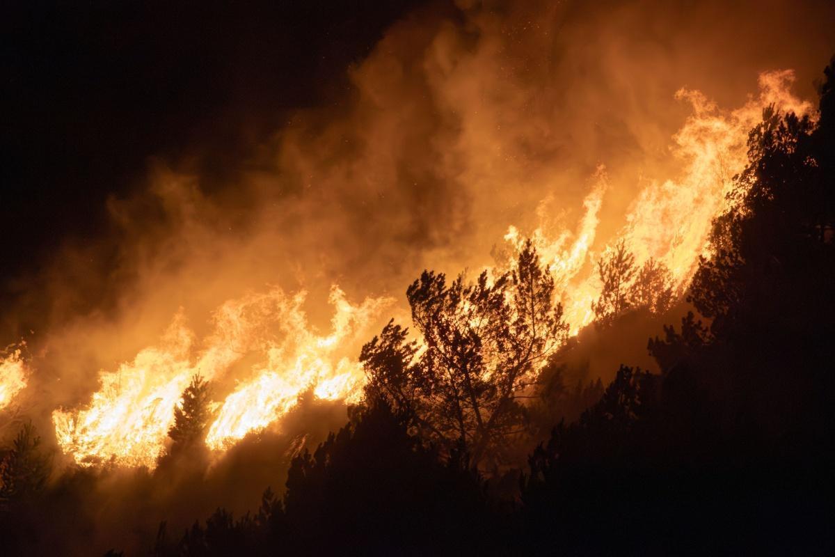 Incendies en Gironde et dans les Landes : protéger les salariés, préserver l’activité et préparer la reprise