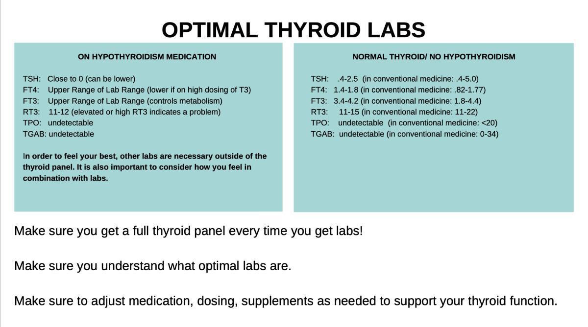 Thyroid Function 